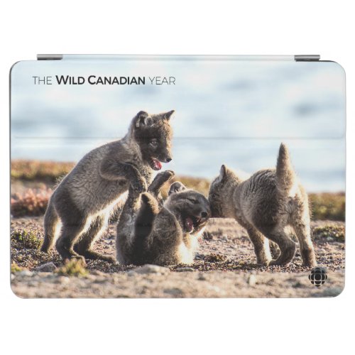 Spring _ Arctic Fox iPad Air Cover