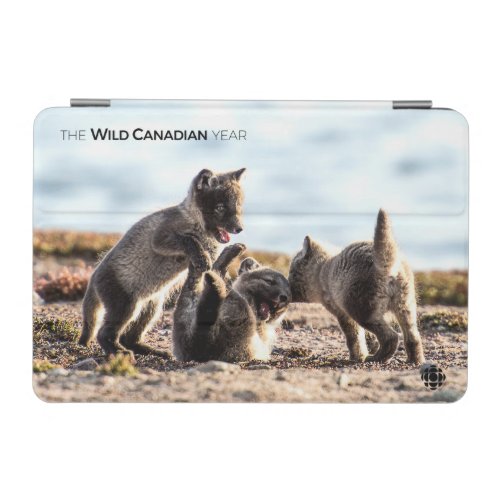 Spring _ Arctic Fox iPad Mini Cover