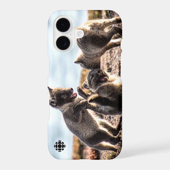 Spring - Arctic Fox Iphone Case (Back)