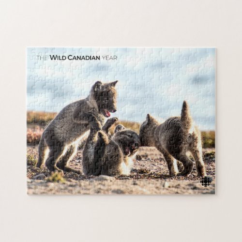 Spring _ Arctic Fox Jigsaw Puzzle