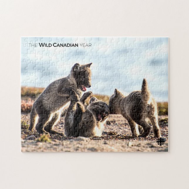 Spring - Arctic Fox Jigsaw Puzzle (Horizontal)