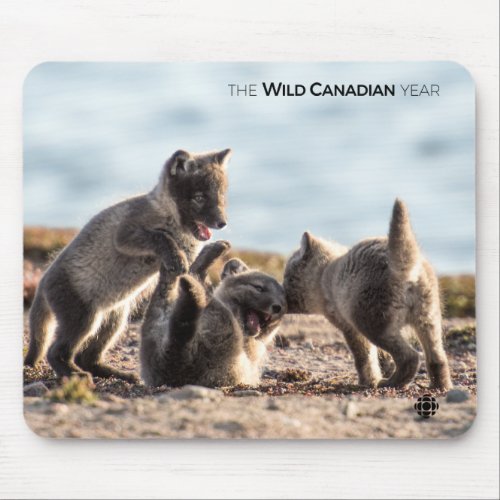 Spring _ Arctic Fox Mouse Pad