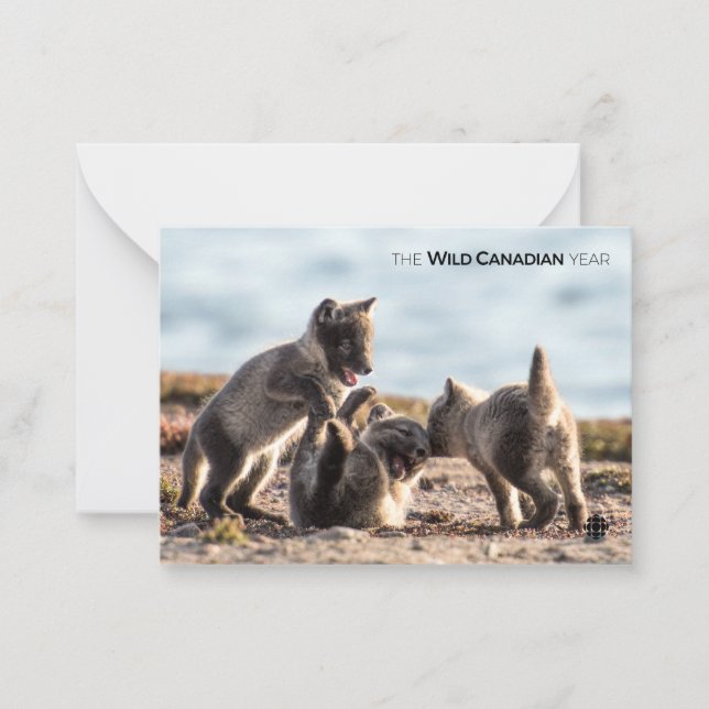 Spring - Arctic Fox Note Card (Front)