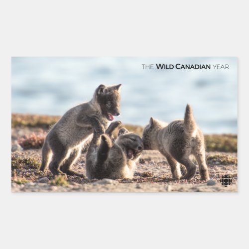 Spring _ Arctic Fox Rectangular Sticker