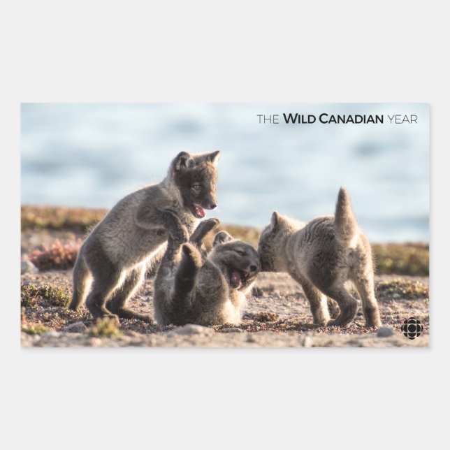 Spring - Arctic Fox Rectangular Sticker (Front)