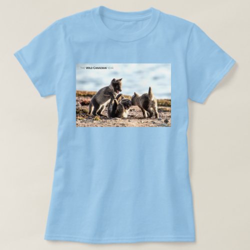 Spring _ Arctic Fox Womens T_Shirt