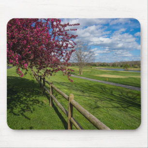 Spring At Rivercut Mouse Pad