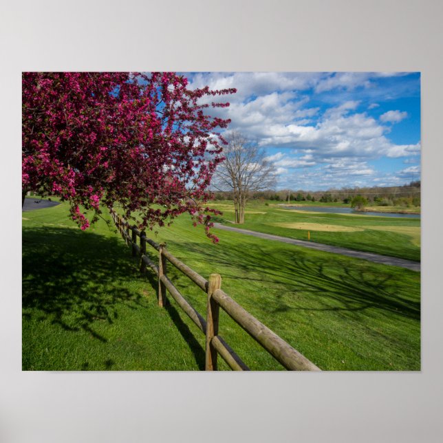 Spring At Rivercut Poster (Front)