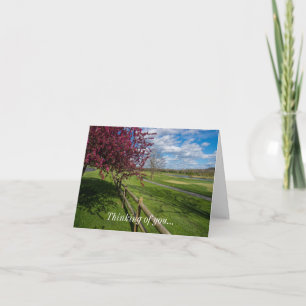 Spring At Rivercut Thinking Of You Card