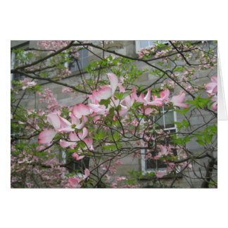 Spring at Swarthmore College Cards