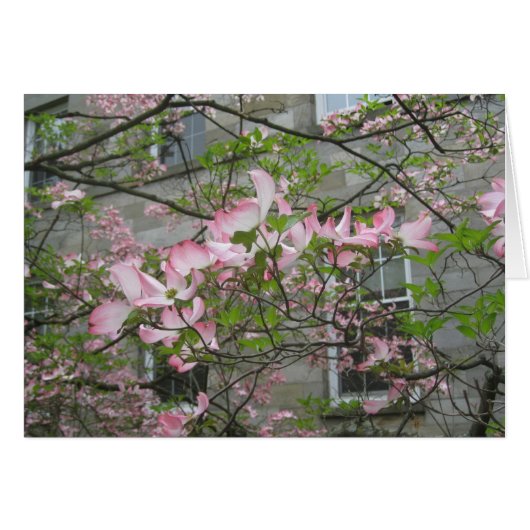 Spring at Swarthmore College Cards (Front Horizontal)