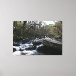 Spring at the Little Pigeon River Canvas Print