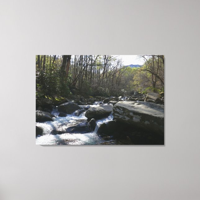 Spring at the Little Pigeon River Canvas Print (Front)