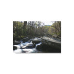 Spring at the Little Pigeon River Canvas Print