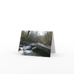 Spring at the Little Pigeon River Card