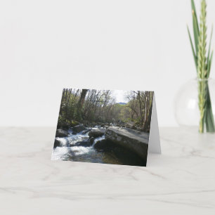 Spring at the Little Pigeon River Card
