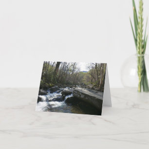 Spring at the Little Pigeon River Card