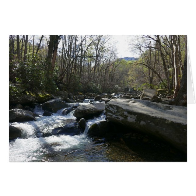 Spring at the Little Pigeon River Cards (Front Horizontal)