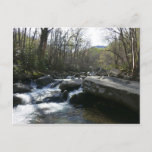 Spring at the Little Pigeon River Postcard