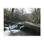 Spring at the Little Pigeon River Postcard