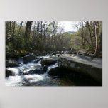 Spring at the Little Pigeon River Poster