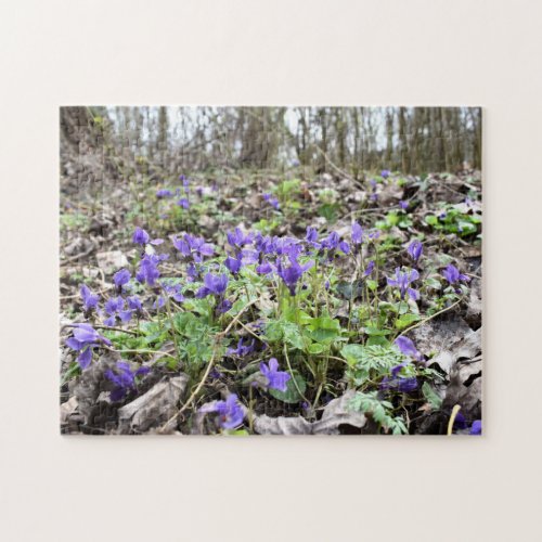 Spring awakening  forest flowers  March violets Jigsaw Puzzle