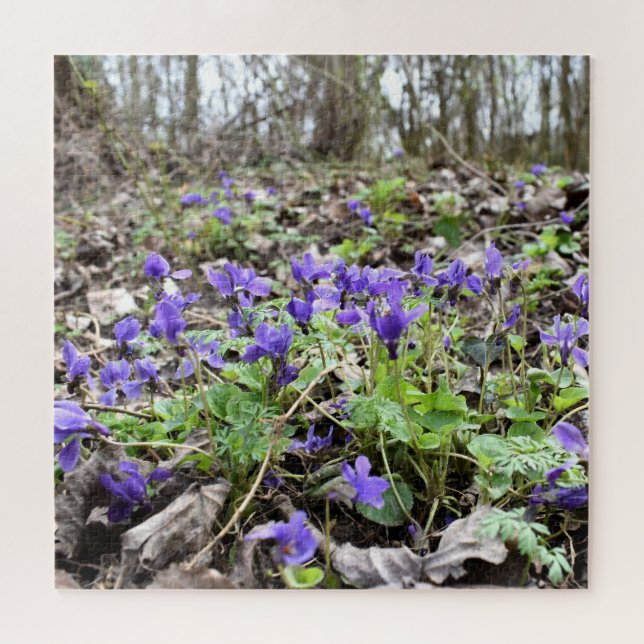 Spring awakening , forest flowers , March violets Jigsaw Puzzle (Horizontal)