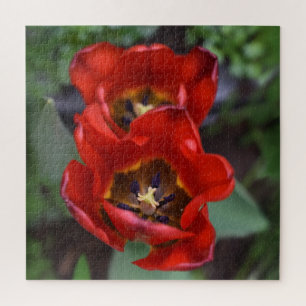Spring awakening , Tulips Jigsaw Puzzle