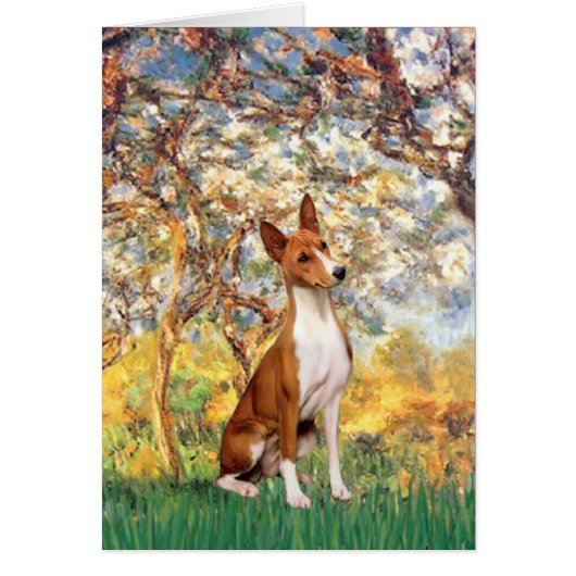Spring - Basenji Cards (Front)