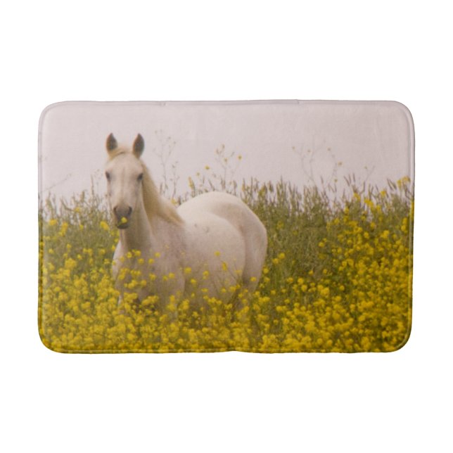 Spring Bath Mat (Front)