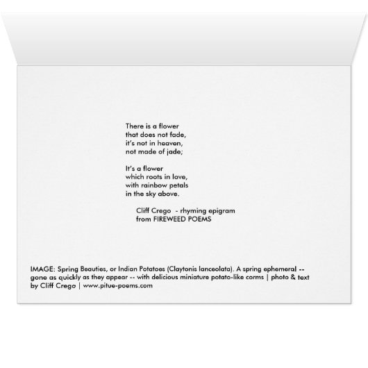 Spring Beauties: There is a flower . . . (Inside Horizontal (Bottom))