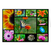 Spring Beauty (Front Horizontal)