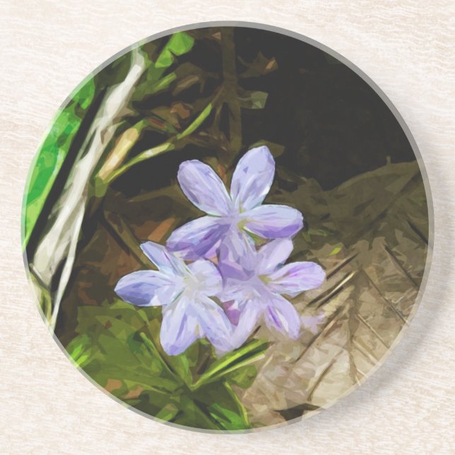 Spring Beauty a Purple Wildflower Abstract Coaster (Front)