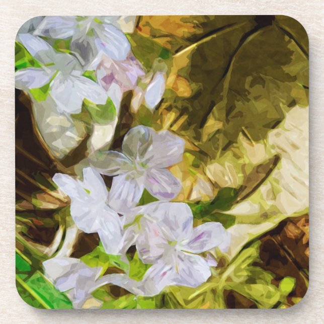 Spring Beauty a Wildflower Abstract Impressionism Drink Coaster (Front)
