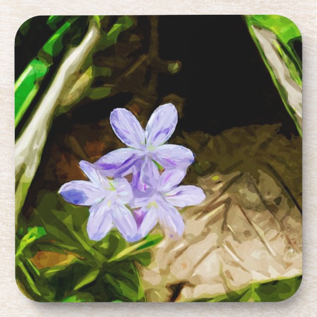 Spring Beauty a Wildflower Abstract Impressionism Drink Coaster (Front)