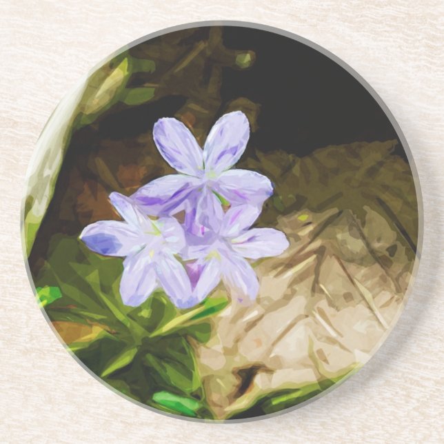 Spring Beauty a Wildflower Abstract Impressionism Sandstone Coaster (Front)