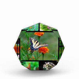 Spring Beauty Acrylic Award