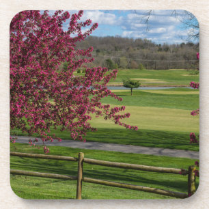 Spring Beauty At Rivercut Drink Coaster