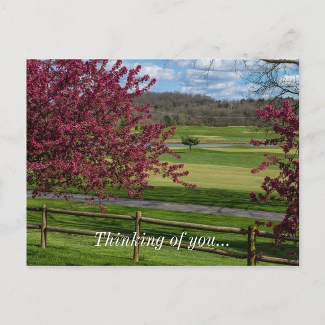 Spring Beauty At Rivercut Postcard (Front)