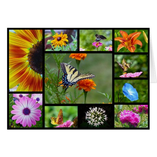 Spring Beauty Cards (Front Horizontal)