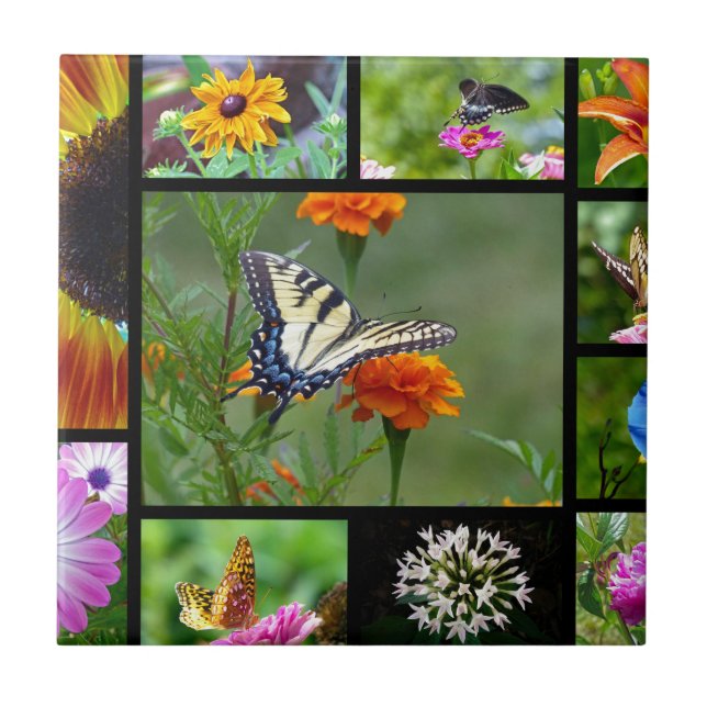 Spring Beauty Ceramic Tile (Front)