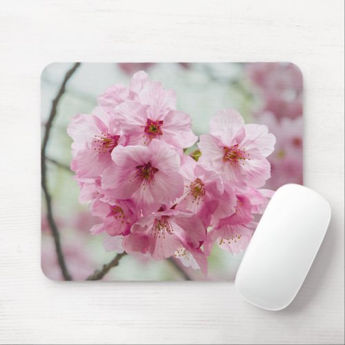 Spring Beauty Cherry Blossom Photography Mouse Pad