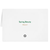 Spring Beauty - Customized Cards (Back Horizontal)