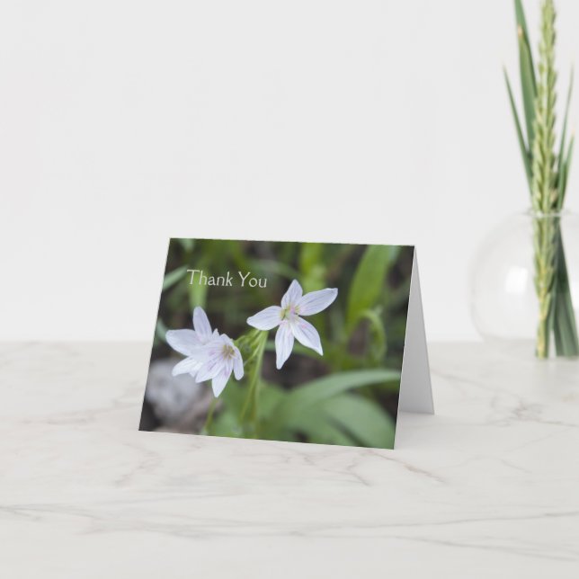 Spring Beauty Letterpress Thank You Card (Front)