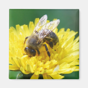 spring bee magnet