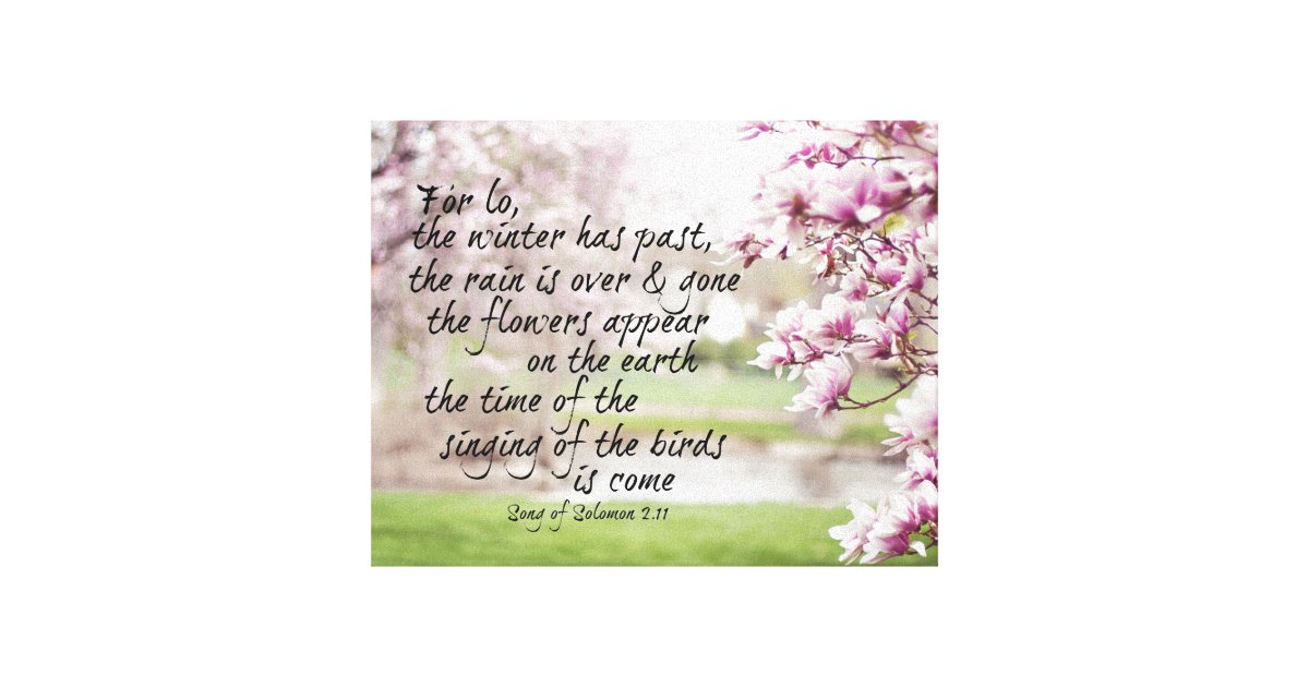 Spring Bible Verse with Magnolia Trees Canvas Print Zazzle