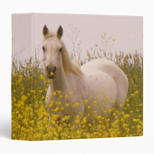 Spring Binder (Front/Spine)