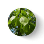 Spring Birch Leaves Green Tree Button