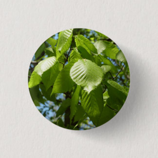 Spring Birch Leaves Green Tree Button
