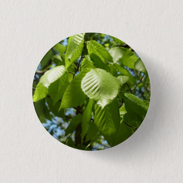 Spring Birch Leaves Green Tree Button (Front)